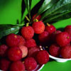 Berry Fruit Flavour